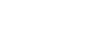 NZ Logo